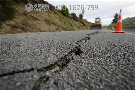 新西蘭7.8級強地震 最先崩潰的是三頭蒙圈牛……