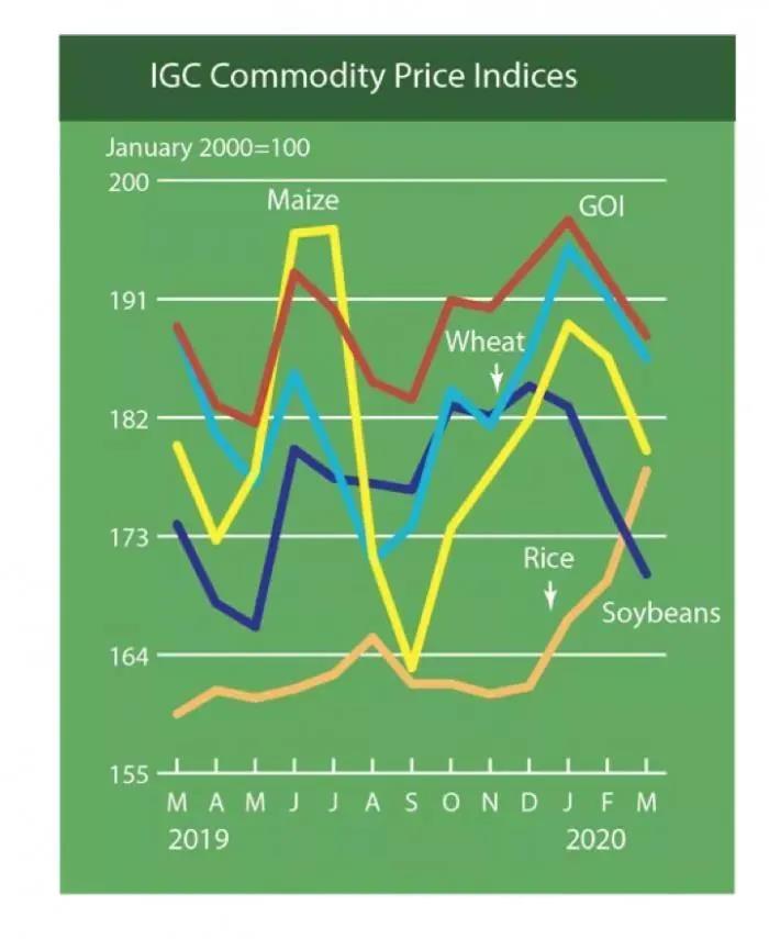 移民愛(ài)爾蘭